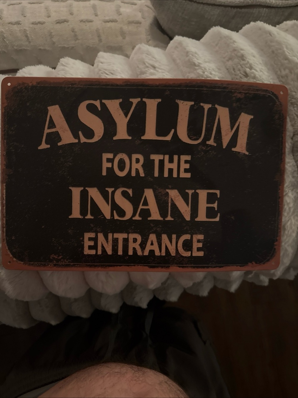 Vintage-Style 'Asylum for the Insane Entrance' Wall Sign - Black and Tan